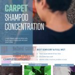 Professional Carpet Cleaning with a Rotary Machine