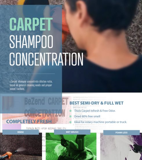 Professional Carpet Cleaning with a Rotary Machine