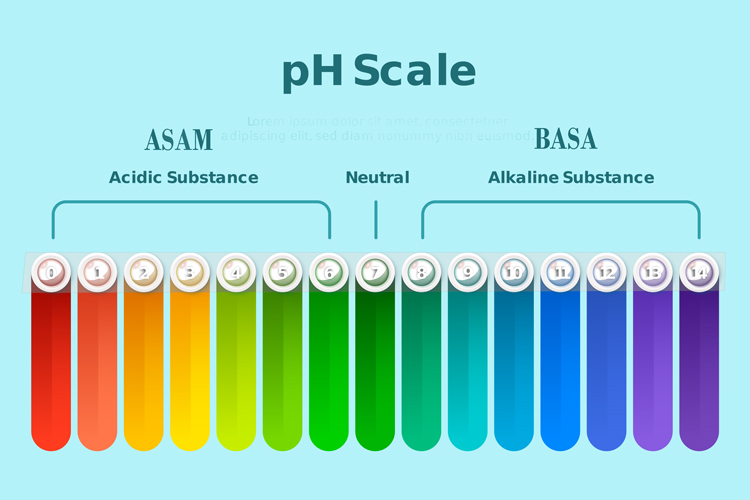 pH Scala acidic